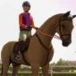 My Horse and Me for Wii and DS Trots to Game Shops