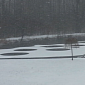 Mysterious Pond Circles Pop Up in Eden, New York – Photo