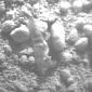 Mysterious Shiny Object Found on Mars Likely Piece of Curiosity Itself