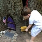 Mystery Gnome Homes Turn Up in Kansas City Park