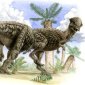 A Debunked Myth: Dinosaurs Did not Ram
