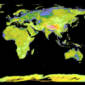 NASA Releases Most Accurate Topographical Map of Earth