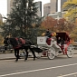 NYC's Horse-Drawn Carriages Will Be Replaced by Vintage EVs