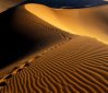 Namib Desert: The Tallest Dunes