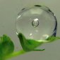 Nanoscale Air Bubbles in Water Defy Physics