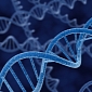 Nanoscale DNA “Cages” Promise to Make Drug Delivery Easier, More Effective
