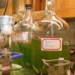 Nanotechnology Extracts Biofuel from Algae Without Killing Them