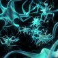 Nanotechnology for Regenerating Nerves