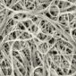 Nanotubes Do Not Affect Fertility