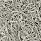 Nanotubes May Offer the Key to Carbon Capture and Storage