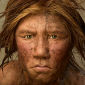Neanderthals Died Off 10,000 Years Earlier than Speculated