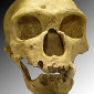 Neanderthals May Have Been Killed by Eruptions