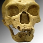 Neanderthals May Have Been the First Doctors