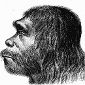 Neanderthals May Have Wore Body Paint
