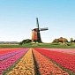 The Netherlands Wants to Have More Open Source and Less Vendor Dependency