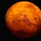 Network of Mineral Veins on Mars' Mount Sharp Looks Positively Stunning