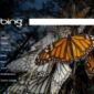 New Bing Background Images from National Geographic Coming