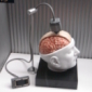 New Brain-Computer Interface Enters Trials