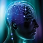 New Brain Implant Is 10 Times Smaller Than Its Competitors