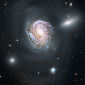 New Coma Cluster Galaxy Revealed