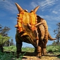 New Dinosaur Discovered in Canada: Xenoceratops Foremostensis