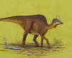 New Duck-Billed Sail-Headed Dinosaur Found in Mexico