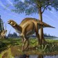 New Duckbill Fossil Found in Montana