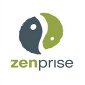 New Enterprise App Store and Remote Control for Android from Zenprise