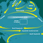 New Garbage Patch Forms in the Atlantic