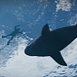 New Grand Theft Auto V Screenshots Show Sharks, Jets, and Mini Submarines