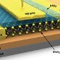 New Material Challenges Graphene's Role in Transistor Manufacturing