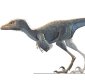 New Mini-Dinosaur Explains How Birds Evolved from Dinosaurs