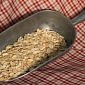 New Oat Variety Might Boost Agricultural Practices