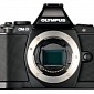 New Olympus OM-D Mirrorless with Micro Four Thirds Image Sensor Tipped for Photokina