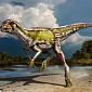 New Quick-Footed Vegetarian Dinosaur Discovered in Canada