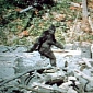 New Reality Show Offers $10 Million (€7.8 Million) to Capture Bigfoot