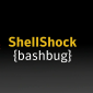 New Remote Code Execution Flaws Found in Shellshock-Patched Bash