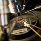 New Semiconductors Can Operate Inside Nuclear Reactors