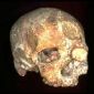 New Skull from Romania Points to an Interbreeding with Neanderthals