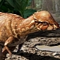 New Species of Bone-Headed Dinosaur Discovered in Alberta, Canada