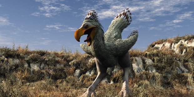 New Species of Carnivorous Terror Bird Discovered in South 