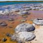 New Stromatolites Found in the Andes
