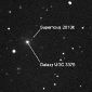 New Supernova Found by 10-Year-Old