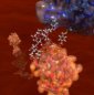 New Synthetic Antibodies Are Much Better Than Natural Ones