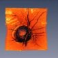 New Technique Offers 3-D Images of the Retina