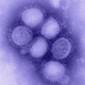 New Tool Could Offer Early Pandemic Warning