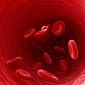 Malaria Can Be Diagnosed by Browsing for Parasite Waste, Study Finds
