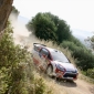 New World Rally Championship Videogame Announced