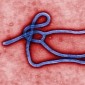 New York City Doctor Confirmed to Have Ebola
