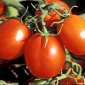 Newly Engineered Tomatoes Can Reduce Heart Attack Risk